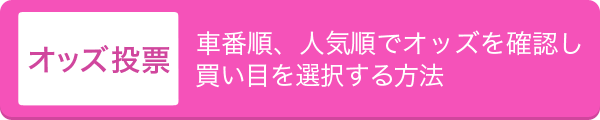 オッズ投票