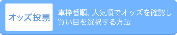 オッズ投票