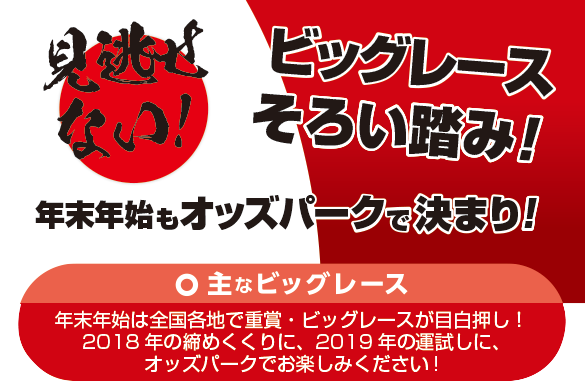 2018-9年末年始を楽しもう