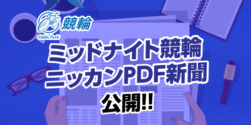10_ニッカンPDF新聞.jpg